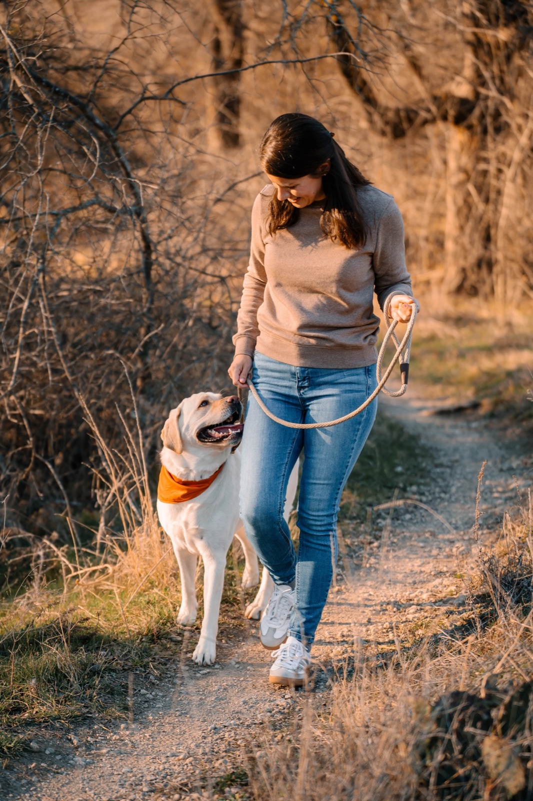 Sara Wright walking a yellow Labrador on an Aledo trail